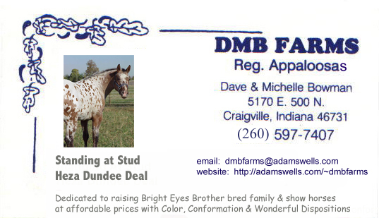 BusinessCard copy.jpg (142325 bytes)