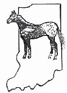 iaalogo2.jpg (11683 bytes)