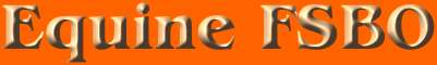 top.jpg (4864 bytes)
